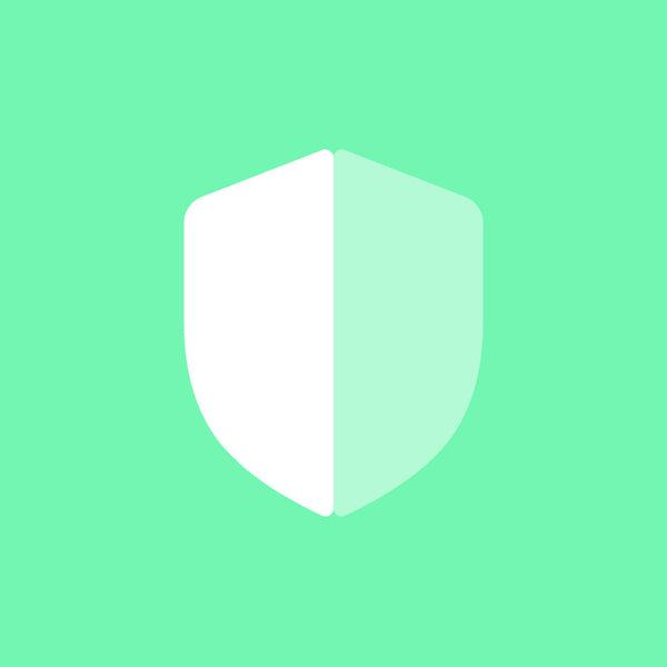 Shipping Protection (Stolen or Lost Packages)